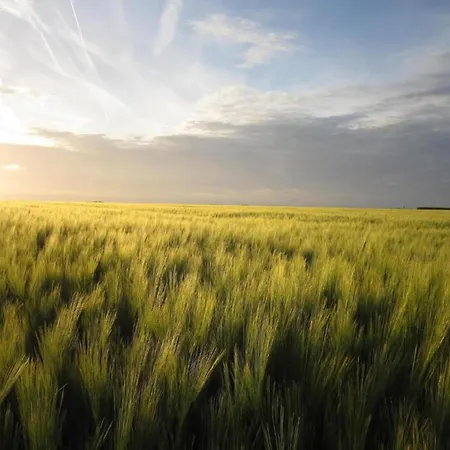 Spacious With Private Garden In Normandy