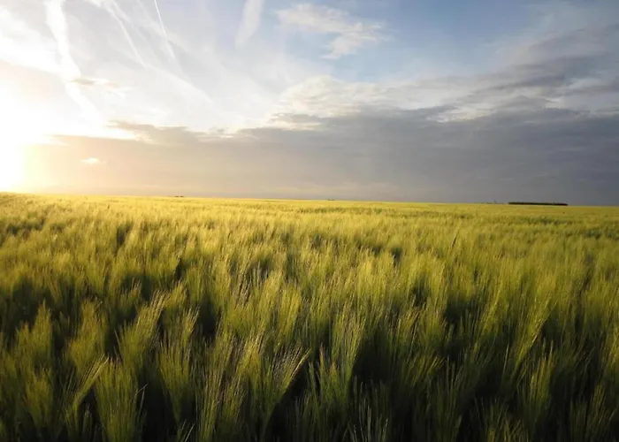 Spacious With Private Garden In Normandy